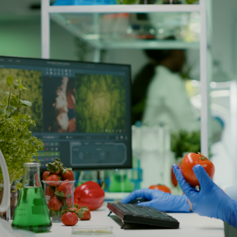 iso 22000 ic tetkik plani nasil kurulur ve nasil yurutulur